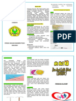 Tugas Promosi Kesehatan Fatmawati Sapeni