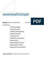 Anatomofisiologia tp2