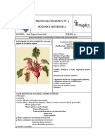 Protocolo Botánico # 9