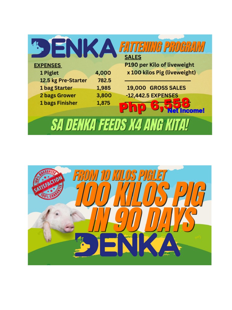 Surveyor Marketing Mats PDF