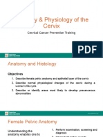 003 Anatomy and Physiology of The Cervix