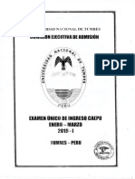 Marzo 2019 17-03-19 Examen Unico de Ingreso Caepu Enero