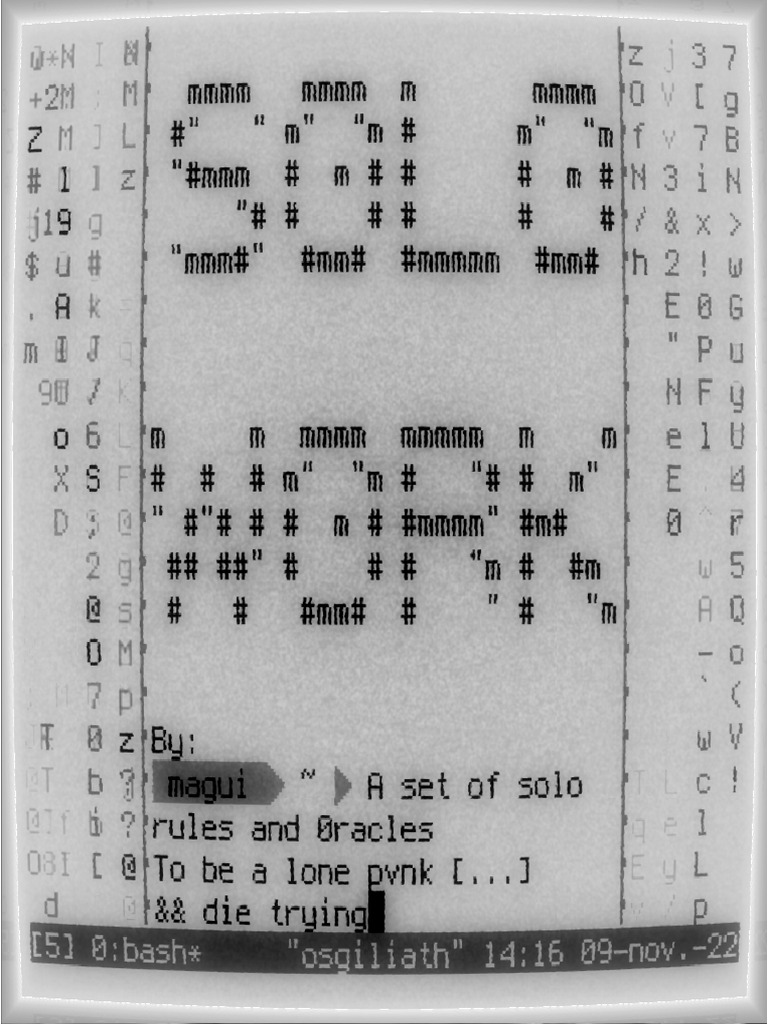 S0L0_W0RK: Solo CY_BORG Ruleset | PDF