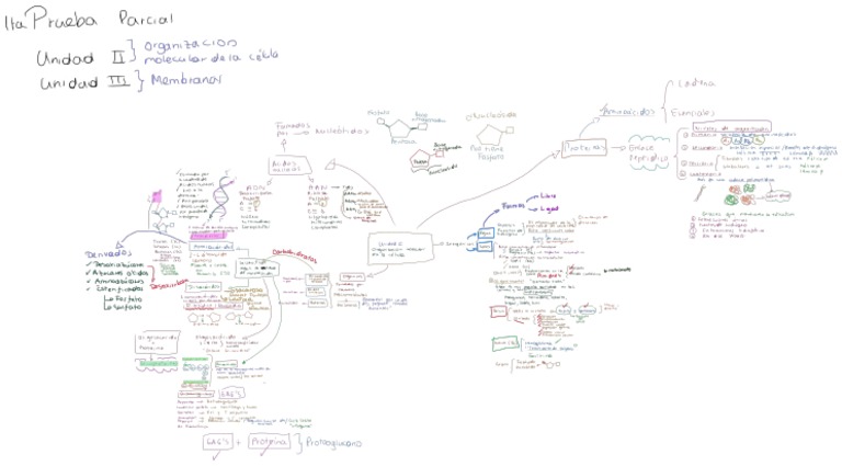 Mapa Mental Unidade II | PDF