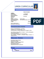 PDF Resumen Curricular Nuevo Modelo Compress