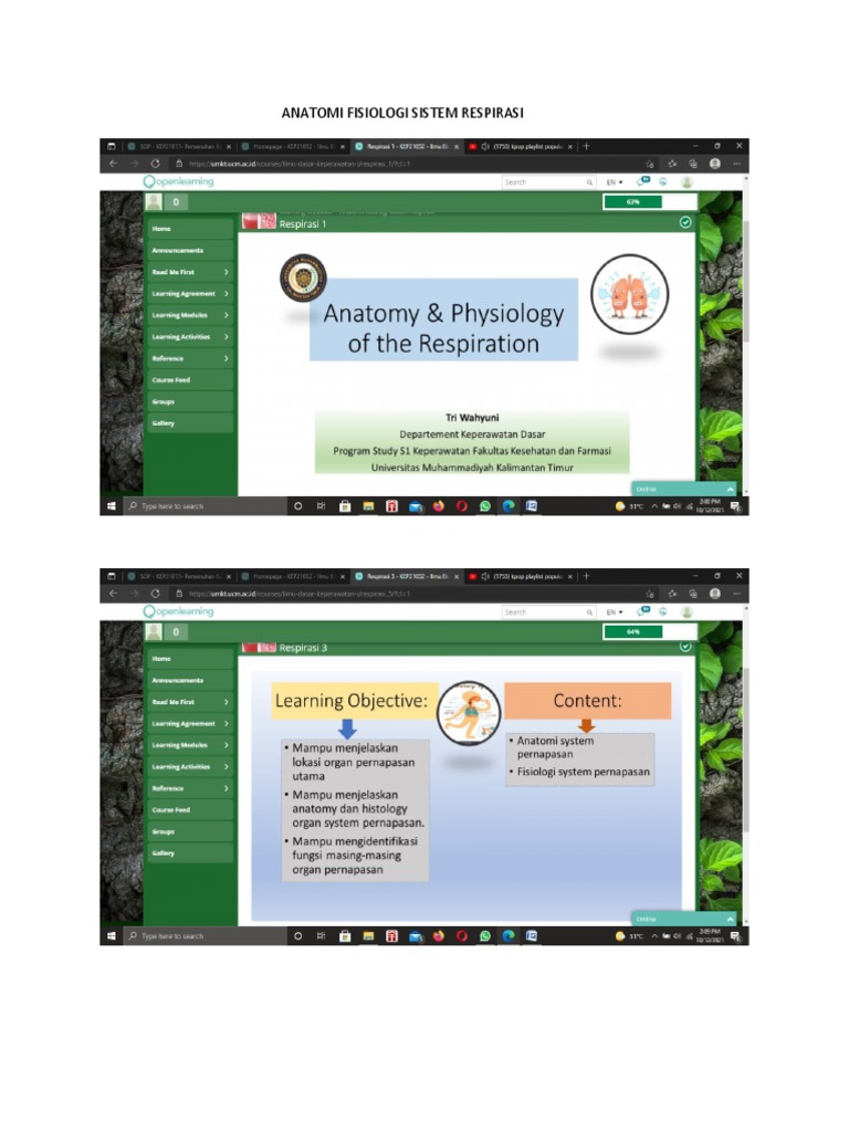 Anatomi Fisiologi Sistem Respirasi | PDF