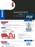 Cancer Cuello Uterino (Cervix)