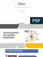 Histologia Sistema e 578152 Downloadable 1098061