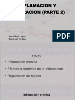 Inflamacion y Reparacion 