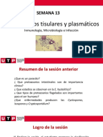 S13.s1 - Material (Inmunología) 1