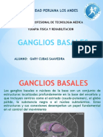 Ganglios Basales