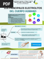 Importancia del Sodio en el Cuerpo Humano | PDF | Sodio | Química