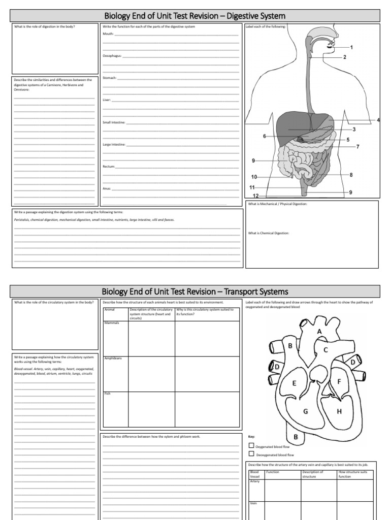 L3 4 biology and physics end of unit test revision template