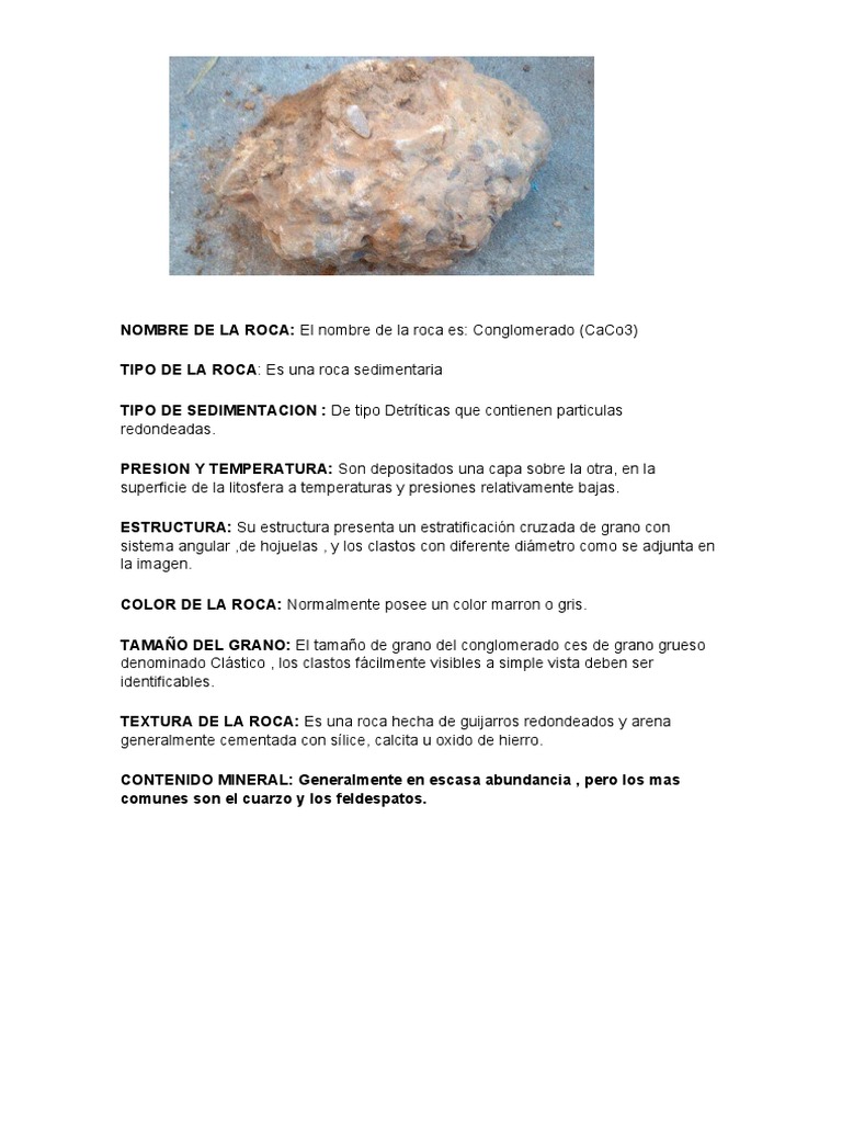 Características del Conglomerado | PDF | Ciencias sociales