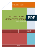 Bateria Neuropsicologica