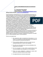 Estrategias de Produccion y Comercializacion de Pacu