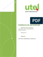 Estructura de La Industria de La Transformación - Semana 2 - P