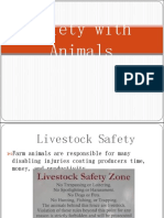 11safety With Animals