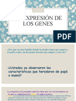 La Expresión de Los Genes