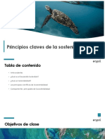 1.1 Principios Claves de La Sostenibilidad PAOII20