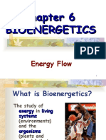 Chapter 6 BIOENERGETICS