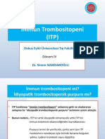 DR - Sinem Namdaroglu - Sessiz - Immun Trombositobeni