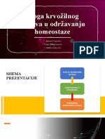 Krvožilni Sustav - Regulacija Homeostaze