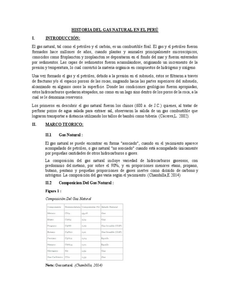 Historia Del Gas Natural en El Perú | PDF | Gas natural | Petróleo