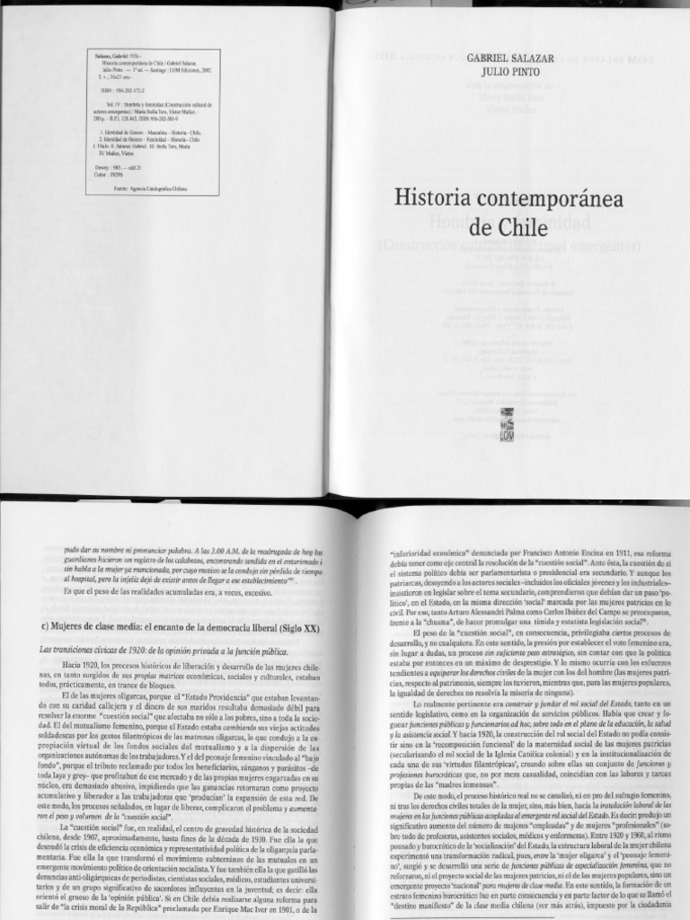 Gabriel Salazar Pdf Movimiento Feminista Mujer