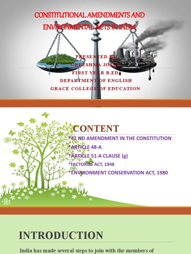 Article 48A: Environmental Amendment | PDF | Pollution | Environmental ...