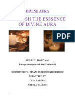 Divine Aura Final Project 12
