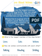 Grade 1 Learning More About Wolves Worksheet