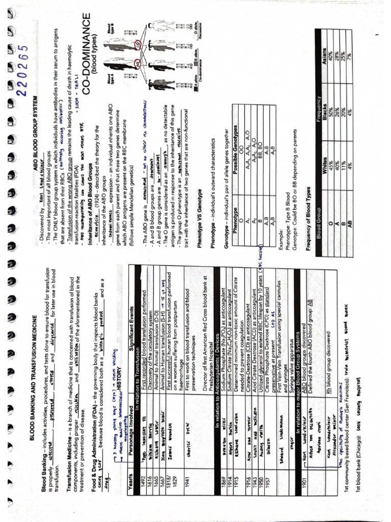 BB | PDF
