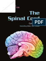 Spinalcord