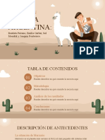 Ecorregión - La Puna - LinkTime - Peirano, Gerber, Pontoriero y Mondrik.