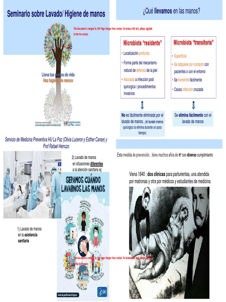 Importancia de la Higiene de Manos en Salud | PDF | Lavado de manos ...