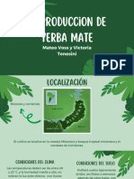 Presentacion Vivero Minimalista Verde