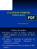 Clase Biotecnologia I - Cultivo in Vitro