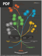 Share Point 2010 Developer Platform Poster 101609