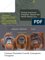 Jatna-Orangutan Tapanuli 15 Des 2022 WB PTAR