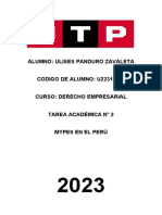 TA02 - MYPES en El Perú - ULISESPANDURO