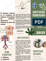 Flyer Folleto Triptico Plantas Vivero Divertido Moderno Orgánico Verde