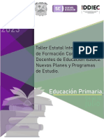 TEIFC Primaria