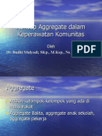 Konsep Aggregate Dalam Keperawatan Komunitas