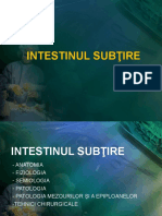 INTESTINUL SUBtIRE