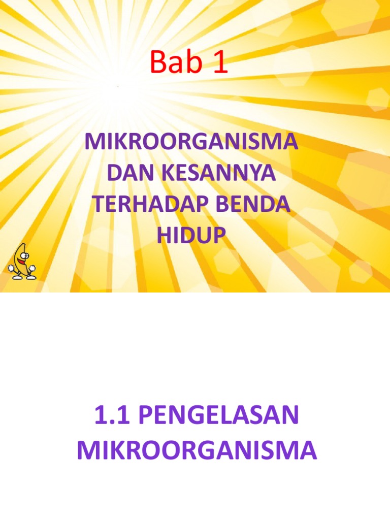 Rutin Harian Dan Kesannya Pada Penampilan