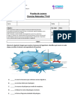 PRUEBA CIENCIAS 7mo