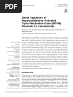 DECYSYM - Paper - Direct Regulation of Hyperpolarization-Activated Cyclic-Nucleotide Gated (HCN1) Channels by Cannabinoids