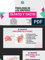 Exposición Fisiología 3. Equipo #8