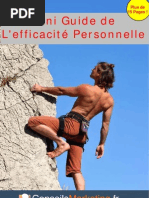 Download Mini Guide Efficacite Personnelle by Serge Esteves SN65887386 doc pdf